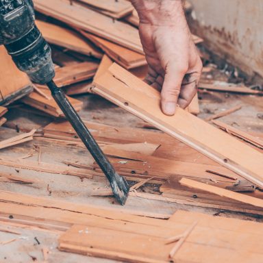 AdobeStock 219576104 384x384